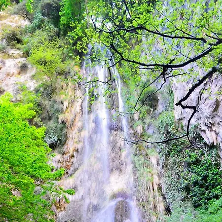 בית הארחה Valenti